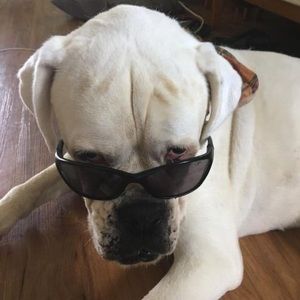 Meet your Posher, Mia